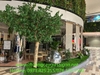 thi-cong-cay-thach-nam-co-thu-tai-trung-tam-thuong-mai-aeon-mall-ha-dong-hn