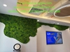 decor-tuong-reu-bao-ton-nghe-thuat-tai-cong-ty-visa-34-trang-tien-ha-noi