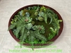 decor-khung-tranh-bang-reu-sen-da-tai-nha-hang-ca-phe-long-bien-ha-noi