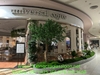 thi-cong-cay-thach-nam-co-thu-tai-trung-tam-thuong-mai-aeon-mall-ha-dong-hn