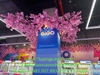 lap-dat-hoa-anh-dao-aeon-mall-ha-dong-ha-noi