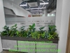 giai-phap-xanh-tang-hieu-qua-san-xuat-tai-van-phong-cong-ty-nhat-minh-decor-se-m