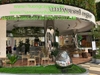 decor-day-leo-xanh-nhan-tao-tai-nha-hang-universal-coffee-aeon-mall-ha-dong