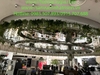 decor-day-leo-xanh-nhan-tao-tai-nha-hang-universal-coffee-aeon-mall-ha-dong