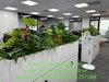 decor-he-thong-cay-xanh-nhan-tao-tai-tap-doan-fc-viet-nam