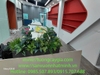 giai-phap-xanh-tang-hieu-qua-san-xuat-tai-van-phong-cong-ty-nhat-minh-decor-se-m