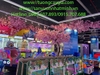lap-dat-hoa-anh-dao-aeon-mall-ha-dong-ha-noi