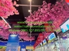 lap-dat-hoa-anh-dao-aeon-mall-ha-dong-ha-noi