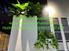 thi-cong-lap-dat-tieu-canh-kho-tai-showroom-gach-op-lat-tspace-royal-city-ha-noi