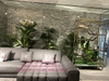 lap-dat-he-thong-cay-xanh-tai-showroom-hung-tuy-20-cat-linh-ha-noi