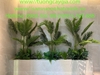 thi-cong-lap-dat-tieu-canh-kho-tai-showroom-gach-op-lat-tspace-royal-city-ha-noi