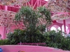 decor-hoa-hong-tai-nha-hang-pinky-novaworld-phan-thiet-binh-thuan