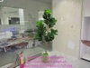 thi-cong-cay-gia-trong-bon-tai-cong-ty-bao-hiem-manulife-tp-vinh-nghe-an