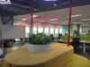 trang-tri-thi-cong-lap-dat-cay-xanh-tai-tap-doan-bosch-toa-nha-capital-place-so-