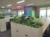 trang-tri-thi-cong-lap-dat-cay-xanh-tai-tap-doan-bosch-toa-nha-capital-place-so-