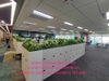 trang-tri-thi-cong-lap-dat-cay-xanh-tai-tap-doan-bosch-toa-nha-capital-place-so-