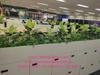 trang-tri-thi-cong-lap-dat-cay-xanh-tai-tap-doan-bosch-toa-nha-capital-place-so-