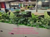 trang-tri-thi-cong-lap-dat-cay-xanh-tai-tap-doan-bosch-toa-nha-capital-place-so-
