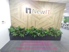 decor-buc-cay-xanh-van-phong-cong-ty-ir-new-it-tai-toa-nha-mitec-so-1-duong-dinh
