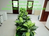 decor-buc-cay-la-nhan-tao-tai-nha-may-khu-cong-nghiep-nhon-trach-dong-nai