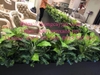 trang-tri-buc-cay-gia-tai-showroom-20-cat-linh