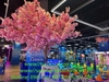 lap-dat-hoa-anh-dao-aeon-mall-ha-dong-ha-noi