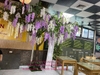 lap-dat-cay-hoa-bo-cong-anh-tai-nha-hang-lau-rieu-cua-112-vo-chi-cong
