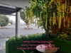 trang-tri-he-thong-cay-xanh-tai-nha-dieu-hanh-xe-khach-son-ha-hai-van