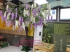 lap-dat-cay-hoa-bo-cong-anh-tai-nha-hang-lau-rieu-cua-112-vo-chi-cong