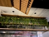 vong-tron-reu-nhan-tao-tai-r102-the-zenpark-vinhomes-ocen-park
