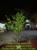 cung-cap-chau-thach-nam-nhan-tao-ben-dep-gia-tot-nhat-thi-truong