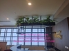 lap-dat-vach-tuong-cay-gia-tai-ngan-hang-hdbank-so-32-tran-hung-dao-hoan-kiem-ha