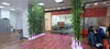 lap-dat-cay-tre-truc-tai-cong-ty-cyberlogitec-viet-nam-so-19a-duong-cong-hoa-tp-