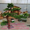 thi-cong-lap-dat-cay-tung-la-han-nhan-tao-dang-dep-nhat-ha-noi