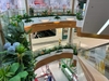 decor-cay-hoa-la-tai-lan-can-thong-tang-tttm-vicom-mega-mall-vu-yen-hai-phong