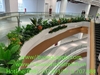 decor-cay-hoa-la-tai-lan-can-thong-tang-tttm-vicom-mega-mall-vu-yen-hai-phong