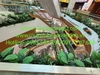 decor-cay-hoa-la-tai-lan-can-thong-tang-tttm-vicom-mega-mall-vu-yen-hai-phong