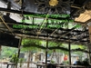 thi-cong-day-cuc-tan-ru-hanh-lang-tao-khong-gian-xanh-mat-cho-nha-hang-ca-phe