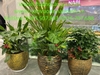 decor-cay-hoa-la-tai-lan-can-thong-tang-tttm-vicom-mega-mall-vu-yen-hai-phong