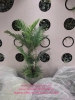 decor-chau-cay-chuoi-canh-cay-dua-canh-tai-cong-ty-bosch-29-lieu-giai-ba-dinh-ha