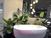 trang-tri-lap-dat-vach-tuong-cay-trau-ba-tai-showroom-hung-tuy-20-cat-linh-ha-no