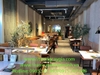chau-cay-o-liu-decor-cho-nha-hang-khach-san-nha-o-van-phong-nang-tam-khong-gian-