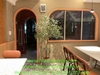 chau-cay-o-liu-decor-cho-nha-hang-khach-san-nha-o-van-phong-nang-tam-khong-gian-