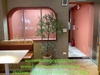 chau-cay-o-liu-decor-cho-nha-hang-khach-san-nha-o-van-phong-nang-tam-khong-gian-