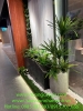 thi-cong-lap-dat-tieu-canh-kho-tai-showroom-gach-op-lat-tspace-royal-city-ha-noi
