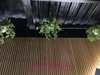 vong-tron-reu-nhan-tao-tai-r102-the-zenpark-vinhomes-ocen-park