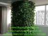 decor-he-thong-cay-la-nhan-tao-tai-van-phong-cong-ty-dym-tp-ho-chi-minh