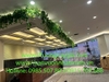 decor-day-leo-ru-tai-highlands-coffee-lotte-mark-tp-vung-tau-ba-ria-vung-tau