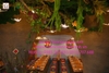 thi-cong-trang-tri-day-leo-cho-nha-hang-tai-ha-tri-ha-dong-ha-noi