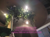 trang-tri-day-leo-ru-dau-cot-tai-trung-tam-thuong-mai-aeon-mall-ha-dong-tp-ha-no